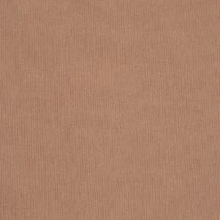 FITS EVERYBODY CORDED LACE CAMI BODYSUIT | SIENNA -Deals Easy Allure Wardrobe Store SKIMS FITSEVERYBODYLACE SIE SW