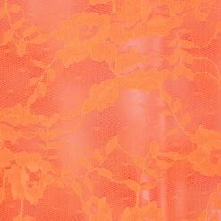 STRETCH LACE SKIRT | NEON ORANGE -Deals Easy Allure Wardrobe Store SKIMS STRETCHLACE NOG SW 3d9be84a 807c 4fc4 b054 8a573537eb1e